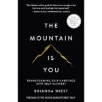 The Mountain Is You: Transforming Self-Sabotage Into Self-Mastery (English)